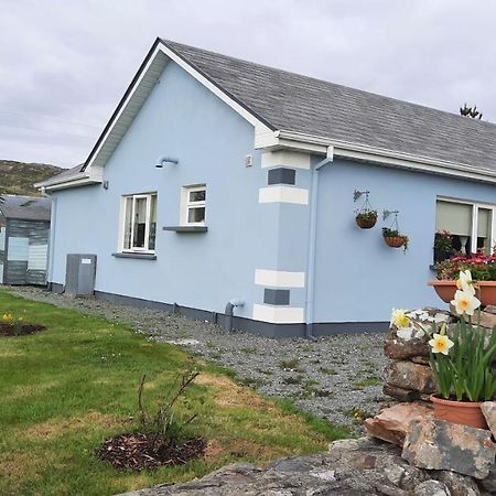 Clifden Wildflower Cottage - Clifden Countryside Lettings Eksteriør bilde