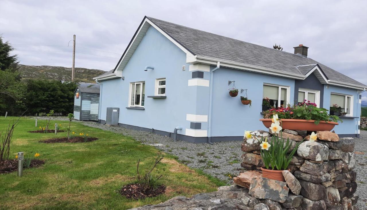 Clifden Wildflower Cottage - Clifden Countryside Lettings Eksteriør bilde