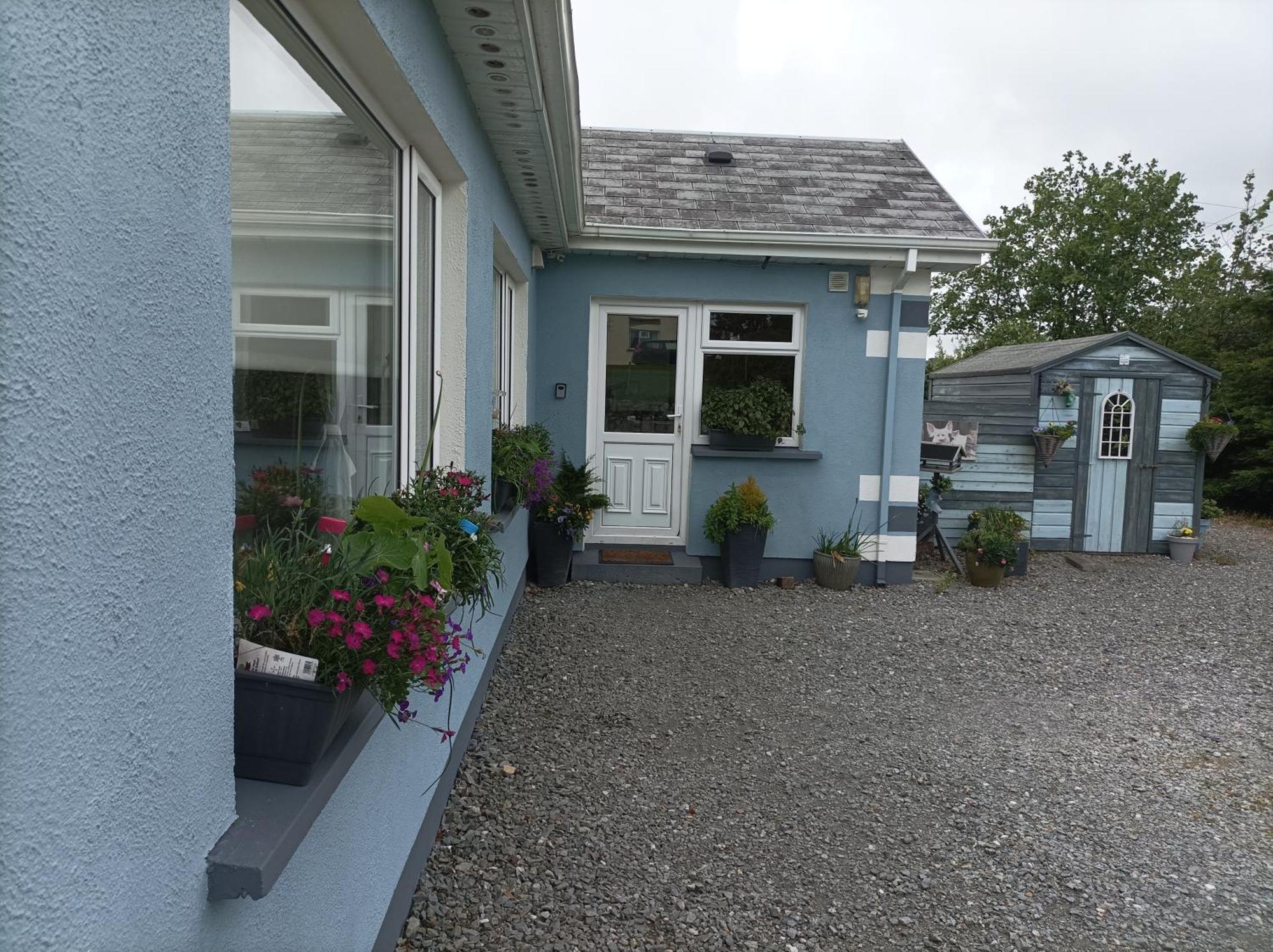 Clifden Wildflower Cottage - Clifden Countryside Lettings Eksteriør bilde