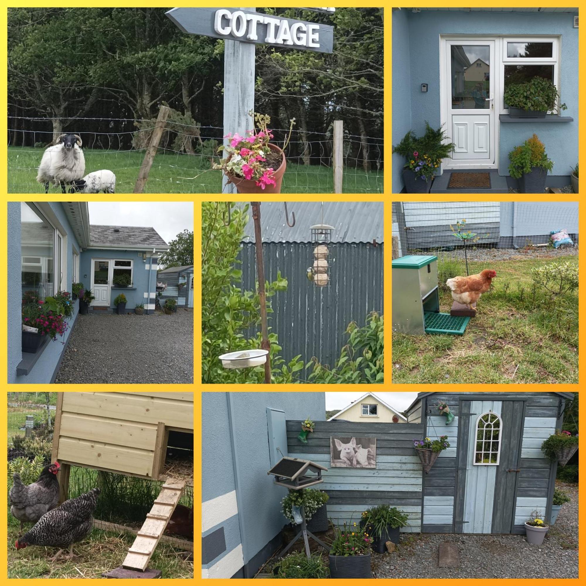 Clifden Wildflower Cottage - Clifden Countryside Lettings Eksteriør bilde