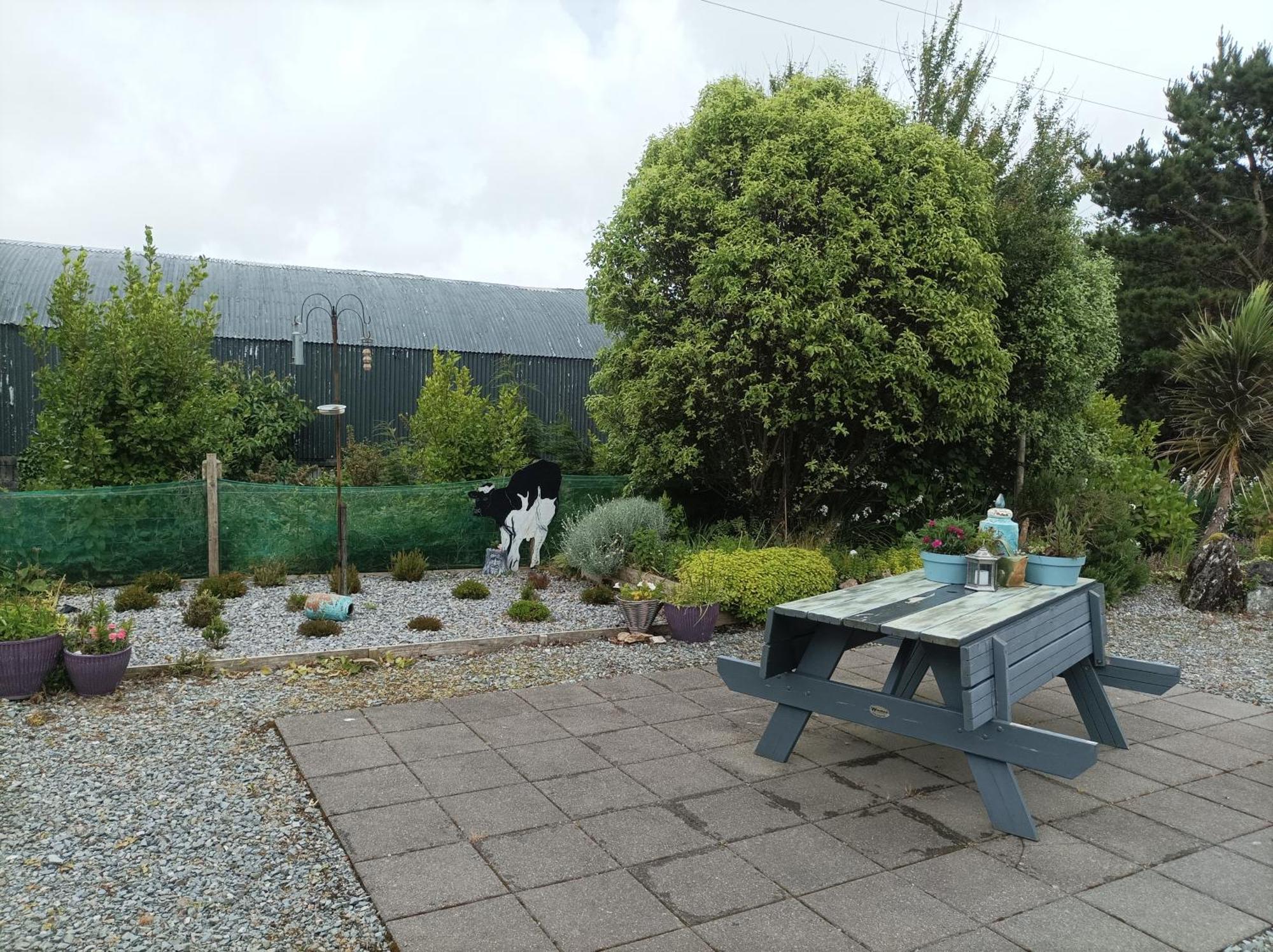 Clifden Wildflower Cottage - Clifden Countryside Lettings Eksteriør bilde